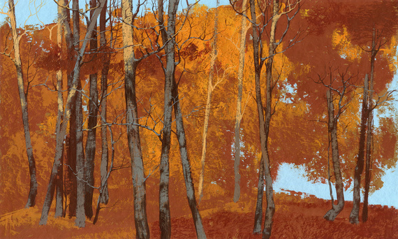 Fototapeta artystyczna Firen drzewa las