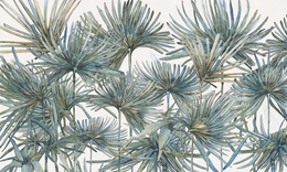 Fototapeta artystyczna Komodo tropikalne liście