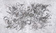 Fototapeta artystyczna Spello 2 kwiaty
