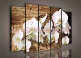 Obraz na płótnie zestaw  PS414S12 STORCZYK NA DESCE