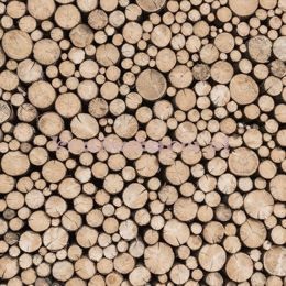 Panel G45275 Logs Global Fusion