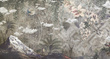 Fototapeta Unspoken