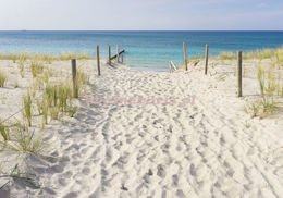 Fototapeta 10387 ZEJŚCIE NA PLAŻĘ Z WIDOKIEM...