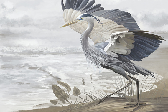 Fototapeta Czapla Na Tle Morza