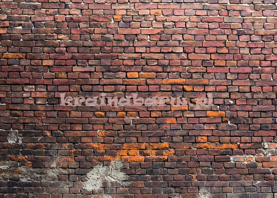 Fototapeta RE020005 CEGLANA ŚCIANA