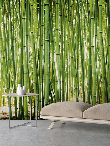 Tapeta Mural Bamboo A36901