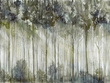 Fototapeta Wallcraft Scoven