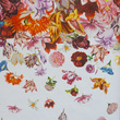 Tapeta Mural 18003 Flower Rain Coconut 