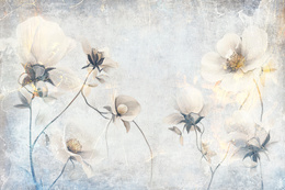Fototapeta Piękne kwiaty w stylu retro 47