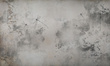 Fototapeta artystyczna Lestes ważki