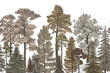 Fototapeta Scandinavian Bellewood