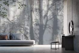 Fototapeta Leśna Opowieść W Szarościach