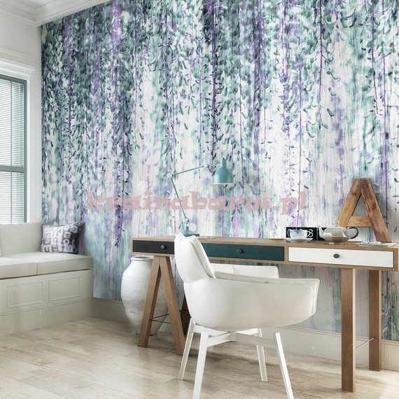 Fototapeta 13521 Wisteria