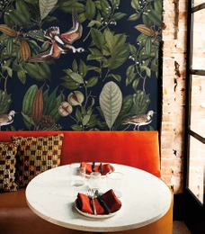 Tapeta Artystyczna Orange bird