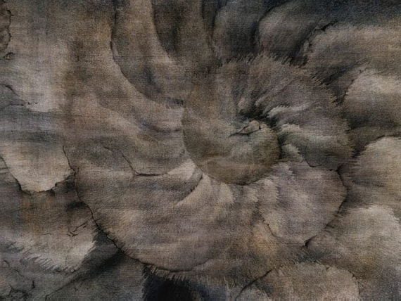 Fototapeta Wallcraft Fosillium