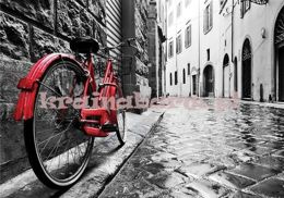 Fototapeta 11675 CZERWONY ROWER