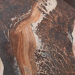 Tapeta Mural 26779 Painted Rose Bronze 