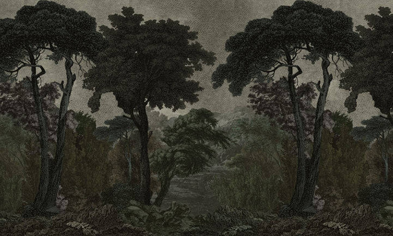 Fototapeta Wallart Hood Dark Drzewa