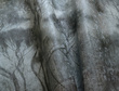 Fototapeta Wallcraft Grovi