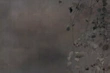 Fototapeta Glamora Edera