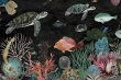 Tapeta Artystyczna Profond Tortue PT104