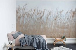 Fototapeta Kołysząca Się Trzcina