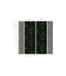 Tapeta Artystyczna Tropical Forest Dark
