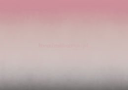 Ombre pink&grey