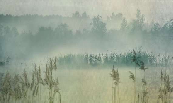 Tapeta Artystyczna Polana