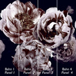 Tapeta Mural 26778 Rose Dusty Lilac