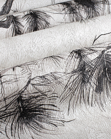 Fototapeta artystyczna Arbor konary sosny