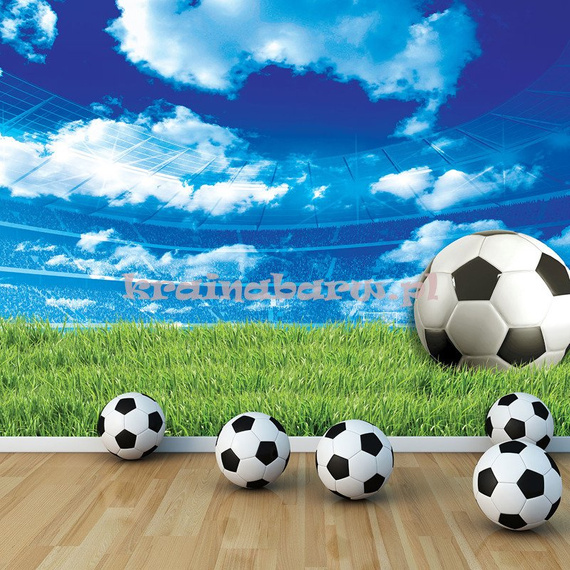 Fototapeta 3388 Stadion