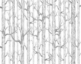 Tapeta Artystyczna Bosco