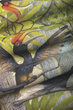 Mural Drzewa i kolorowe ptaki Hornbill 2 