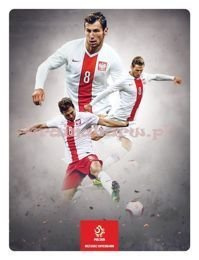 Obraz na tafli PTD231T2 piłka nozna Grzegorz Krychowiak