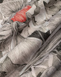 Fototapeta artystyczna Cornelia kwiaty 