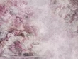 Fototapeta na flizelinie Sanctuary Pink