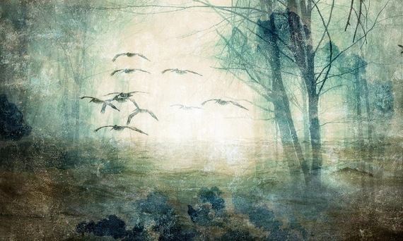 Tapeta Artystyczna Leśny krajobraz