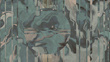 Fototapeta Oasis dune