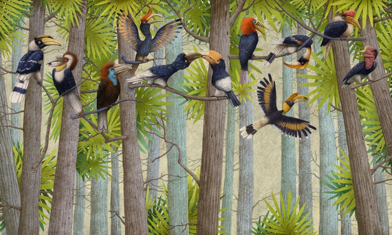 Mural Drzewa i kolorowe ptaki Hornbill 2 