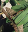 Tapeta Artystyczna Tropical Composition 