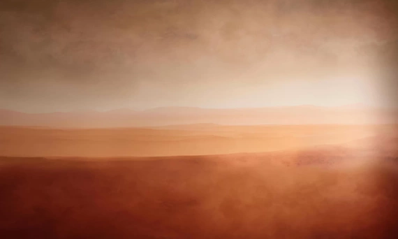 Tapeta Artystyczna Zachód Słońca na Sawannie