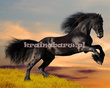 Fototapeta RE130006 CZARNY KOŃ