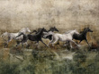 Fototapeta Wallcraft Recho