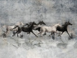 Fototapeta Wallcraft Recho