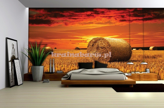 Fototapeta na flizelinie 415VE Żniwa