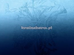 Blue Ombre Flower roślinny wzór na błękitno granatowym tle