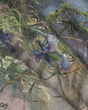 Fototapeta artystyczna Blumarine kwiaty