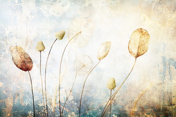 Fototapeta Piękne kwiaty w stylu retro 32