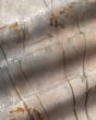 Fototapeta artystyczna Pianta trawy